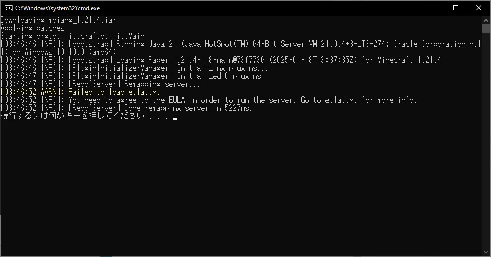 コンソール起動画面