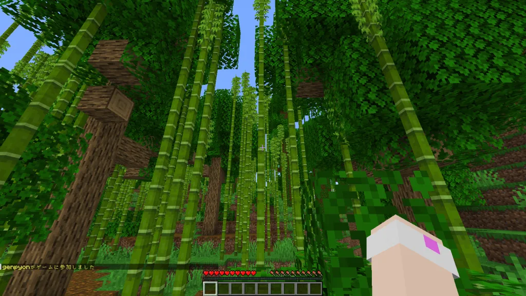 サーバーへのログイン